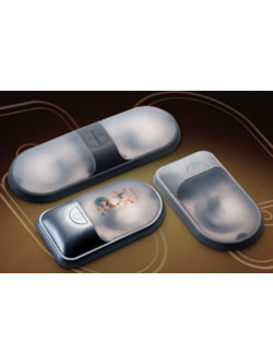 PLAFON MALETERO DOBLE GRIS 24V