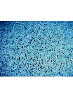 ALF RIZO LUJO AZUL DUCA.12X15X6 SIN BASE
