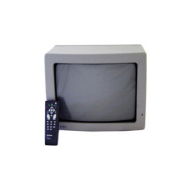 MONITOR 14" COLOR NEGRO B&B