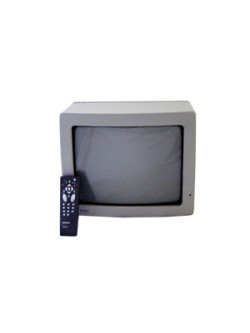 MONITOR/TV 14" GRIS BBTM14G