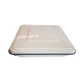 CLARABOYA 50X50 CM METALICA