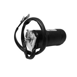 MOTOR CLARABOYA 12V