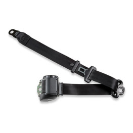 CINTURON 3 PUNTOS SIN BUCKLE