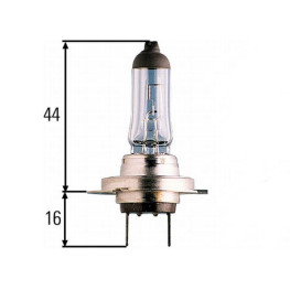 BOMBILLA H7 12V 55W